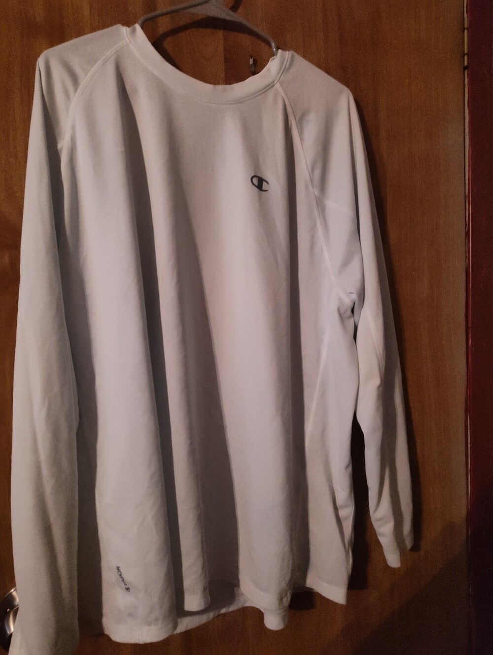 Champion Men's Long-Sleeve Crew in White with Small Logo